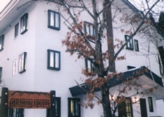 �O���C�V���[�z�e��