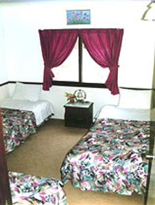 photo9