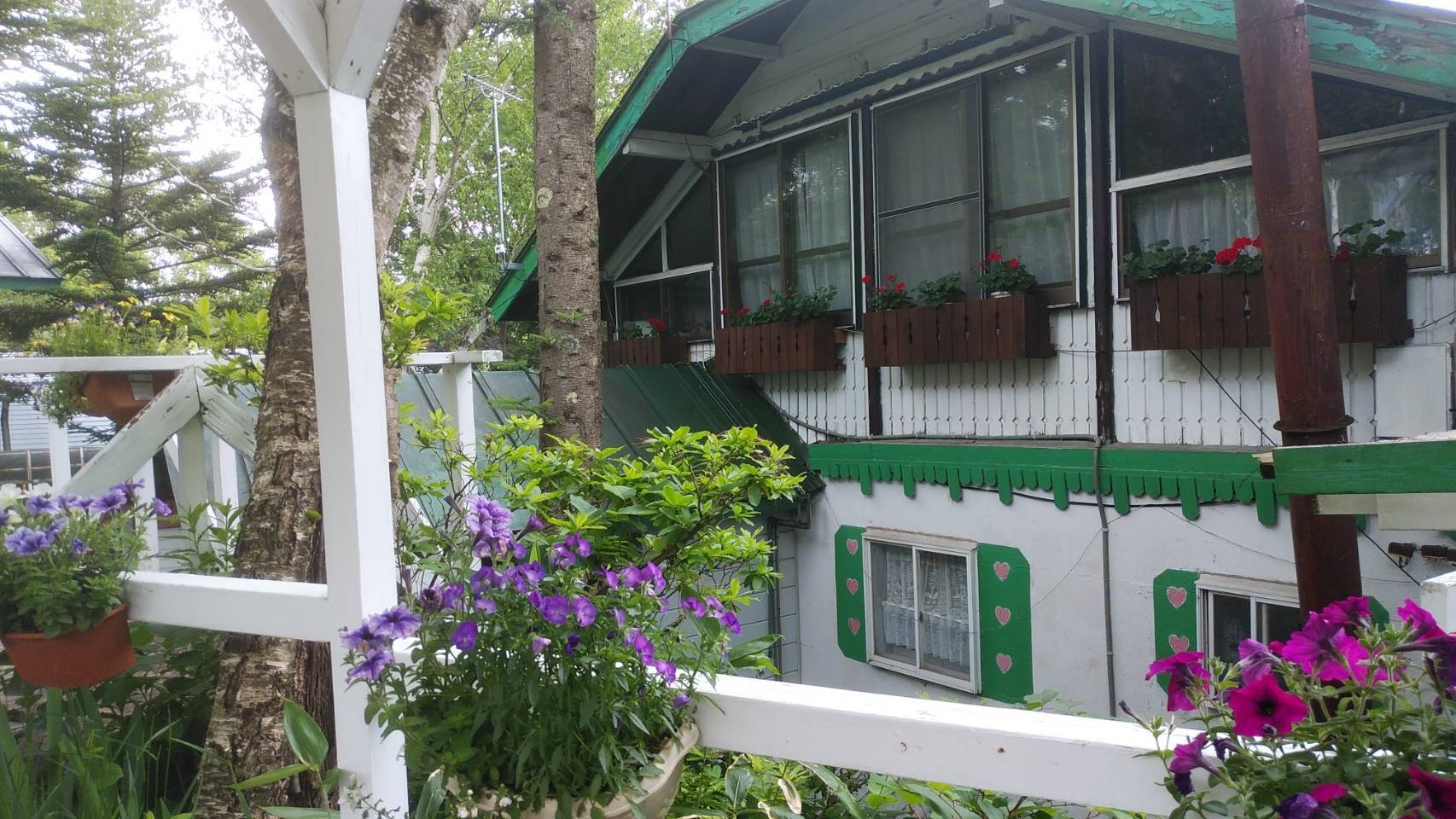 ybgƔ܂h@yVE`쌧h\¦فEفEsE̗\͊yVق