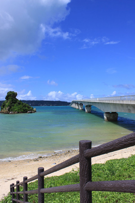 写真4