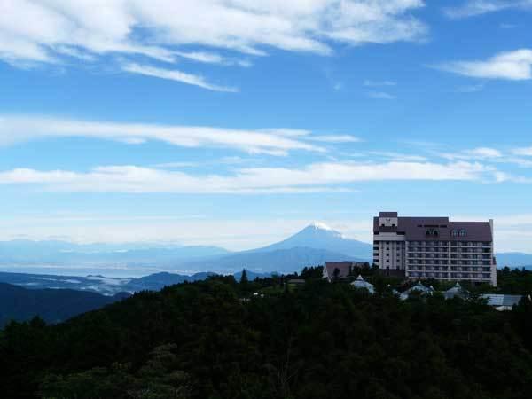写真1
