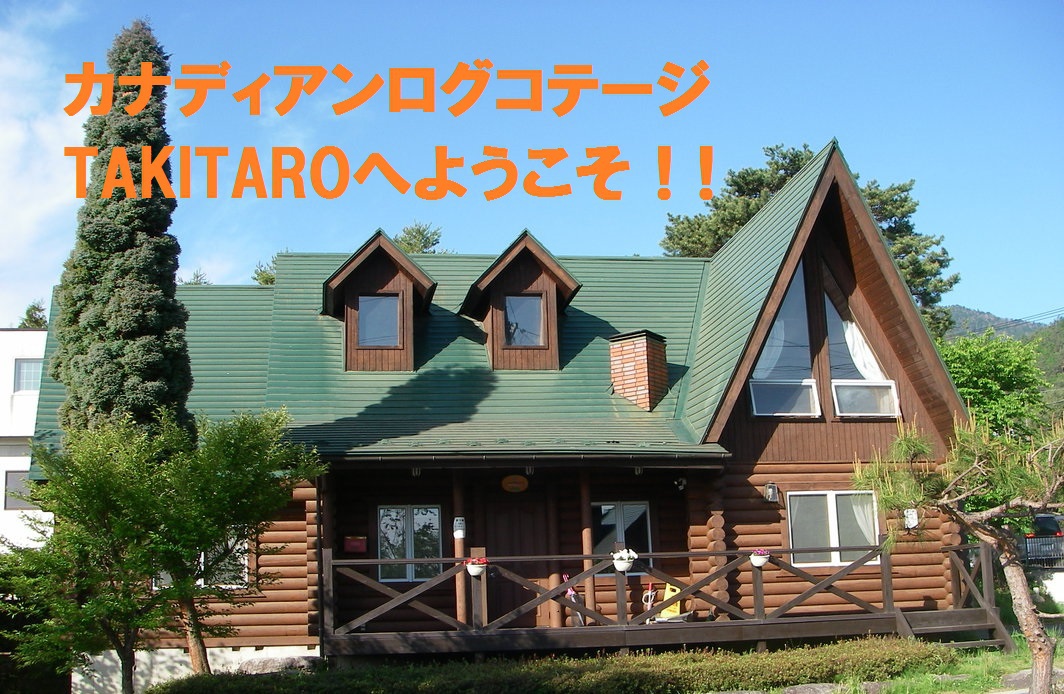 写真1