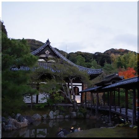 写真5