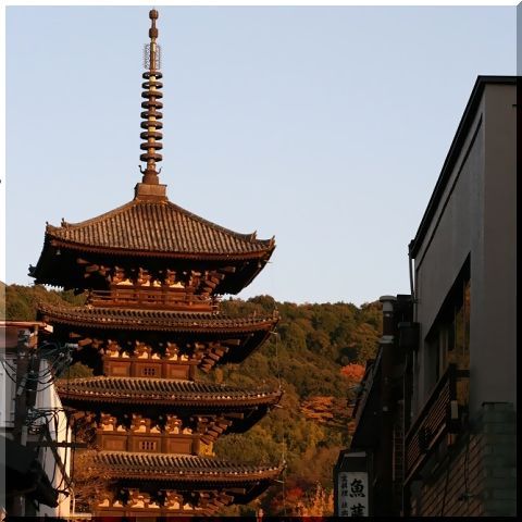 写真6