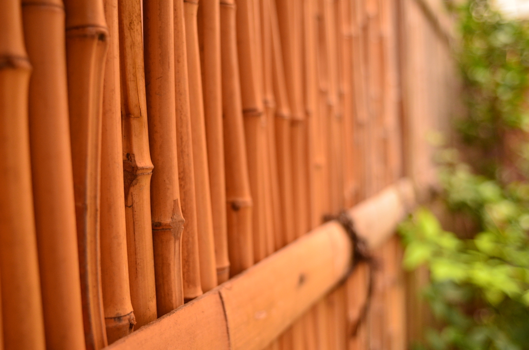 写真5