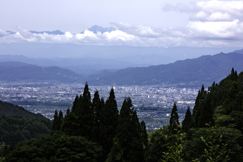 写真1