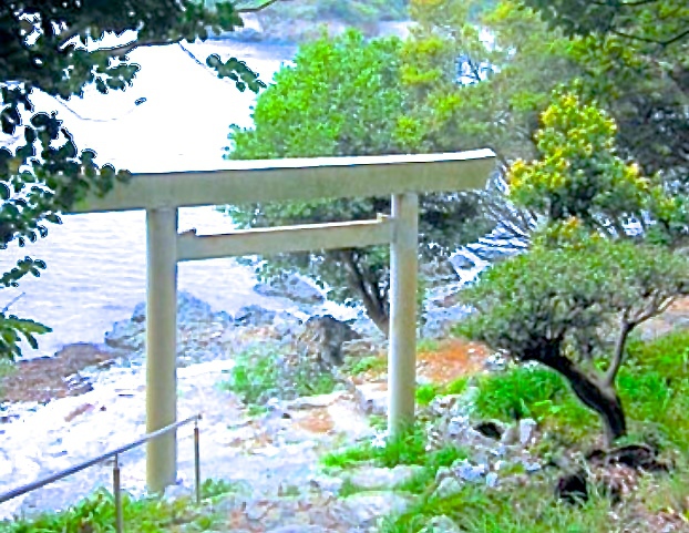 写真4