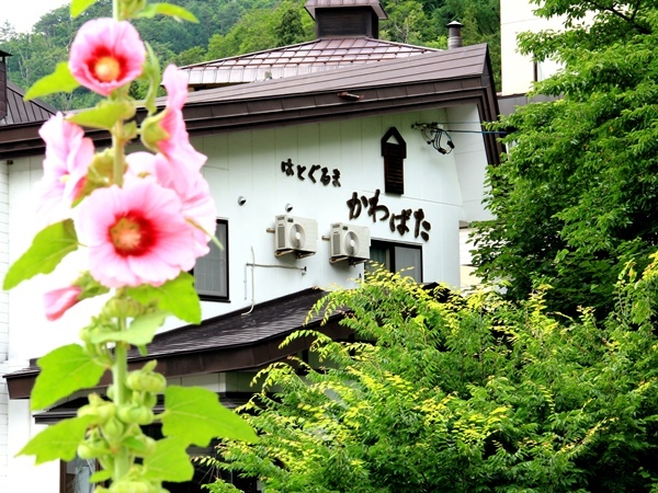 写真1