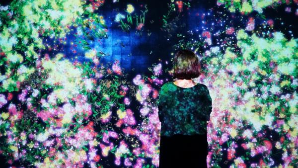 写真4