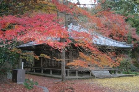 写真5