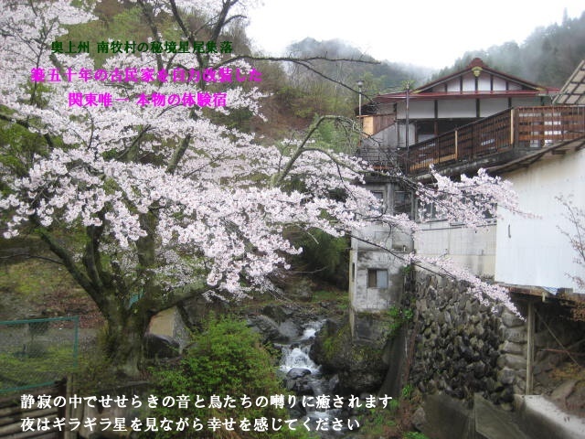 写真1