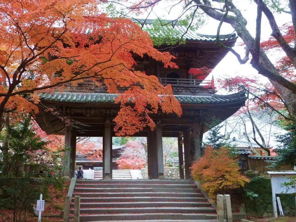 写真1
