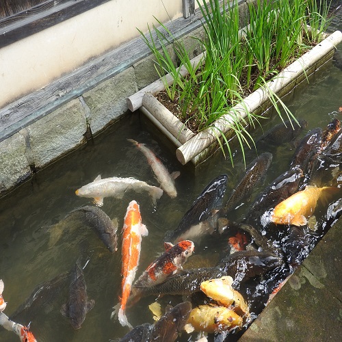 写真2