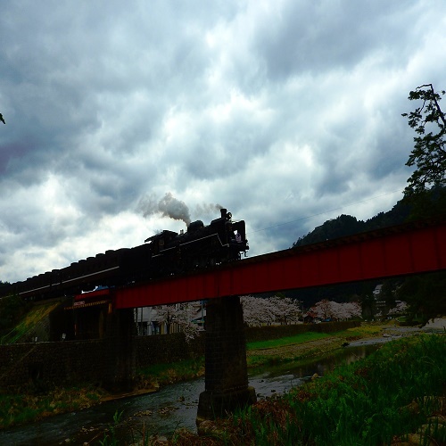 写真5