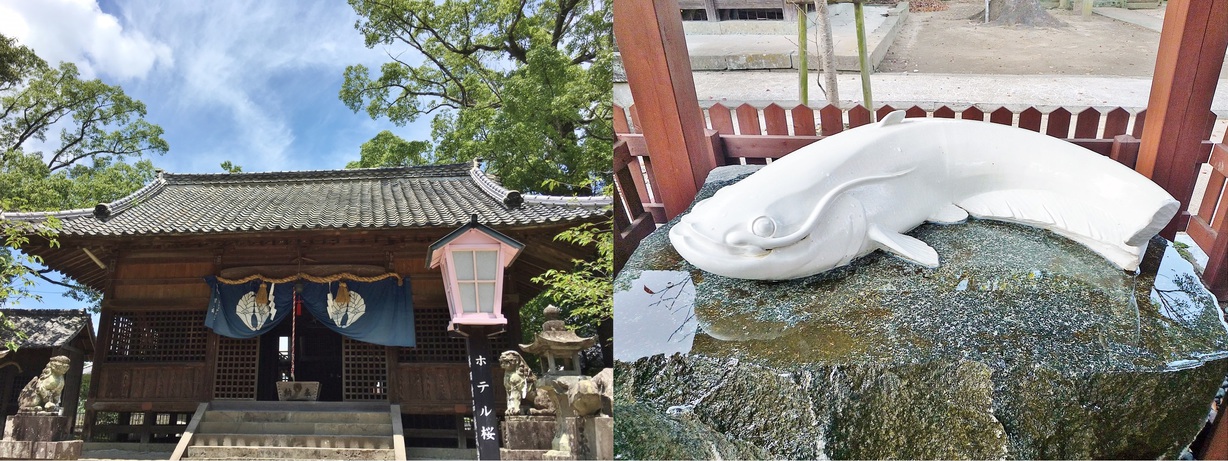 写真1