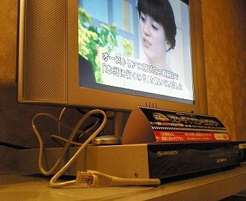 写真5