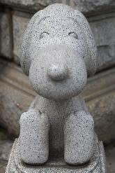 �V�e�B�[�E���[�v[�ό��ē�]�ʐ^4