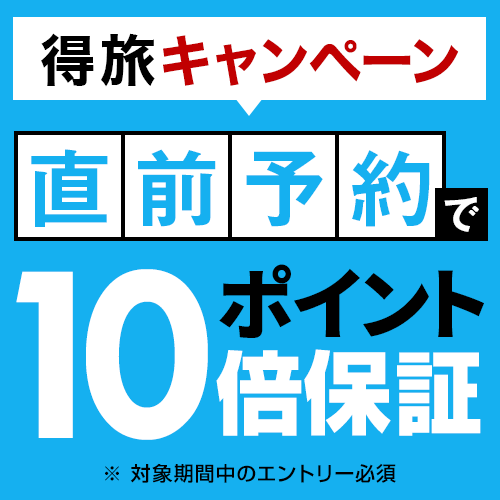 ☆春夏秋冬☆ベーシックプラン【素泊まり】★３歳以下添い寝無料