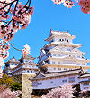 ExperiencesBanner