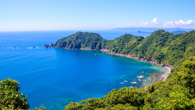 Transit and transportation