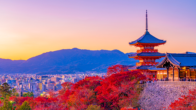 Sightseeing and activities