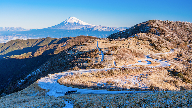 Seasonal information