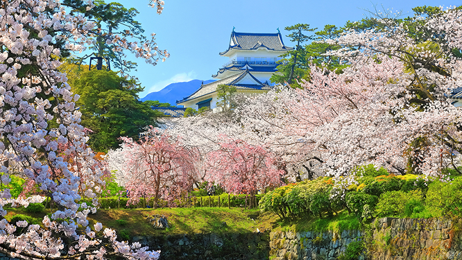 Sightseeing and activities