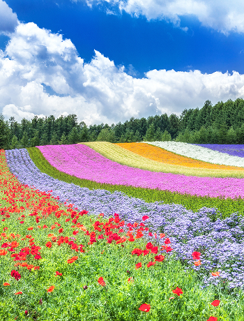 Hokkaido
