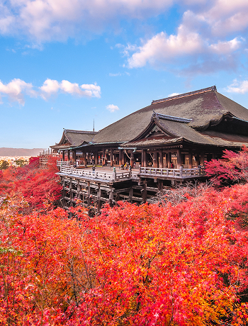kyoto 京都府