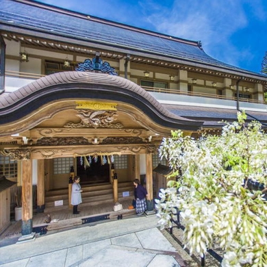 高野山別格本山　総持院 施設全景