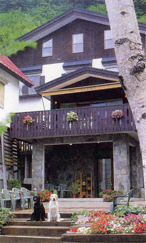 ホテル サザン 宿泊予約 楽天トラベル