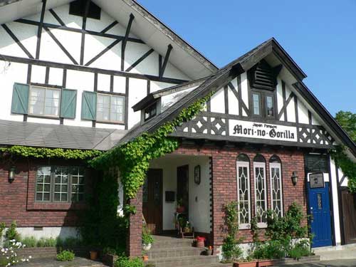 カントリーイン　森のゴリラ&nbsp;施設全景