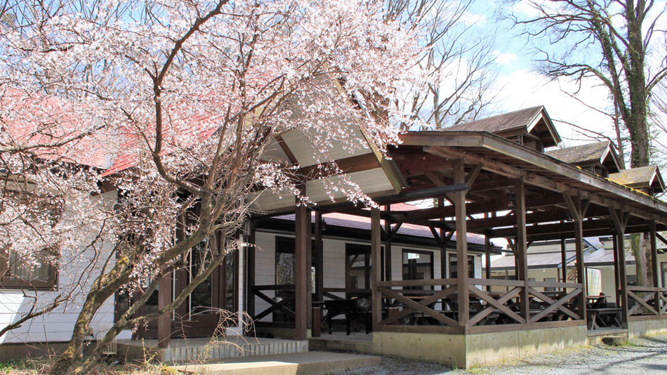 山中湖　平野屋旅館　＜山梨県＞ 施設全景