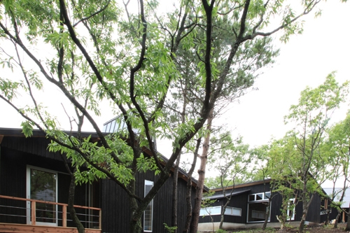 ロッジ虎の湯(旧:トライアル温泉郷 虎乃湯) 施設全景