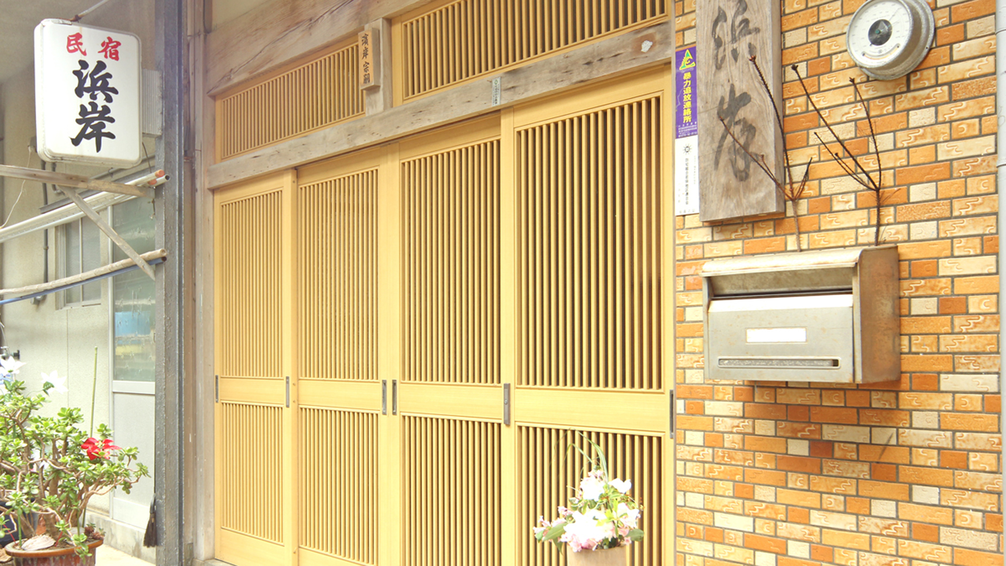 写真：わんこと泊まれる漁師の宿　浜岸