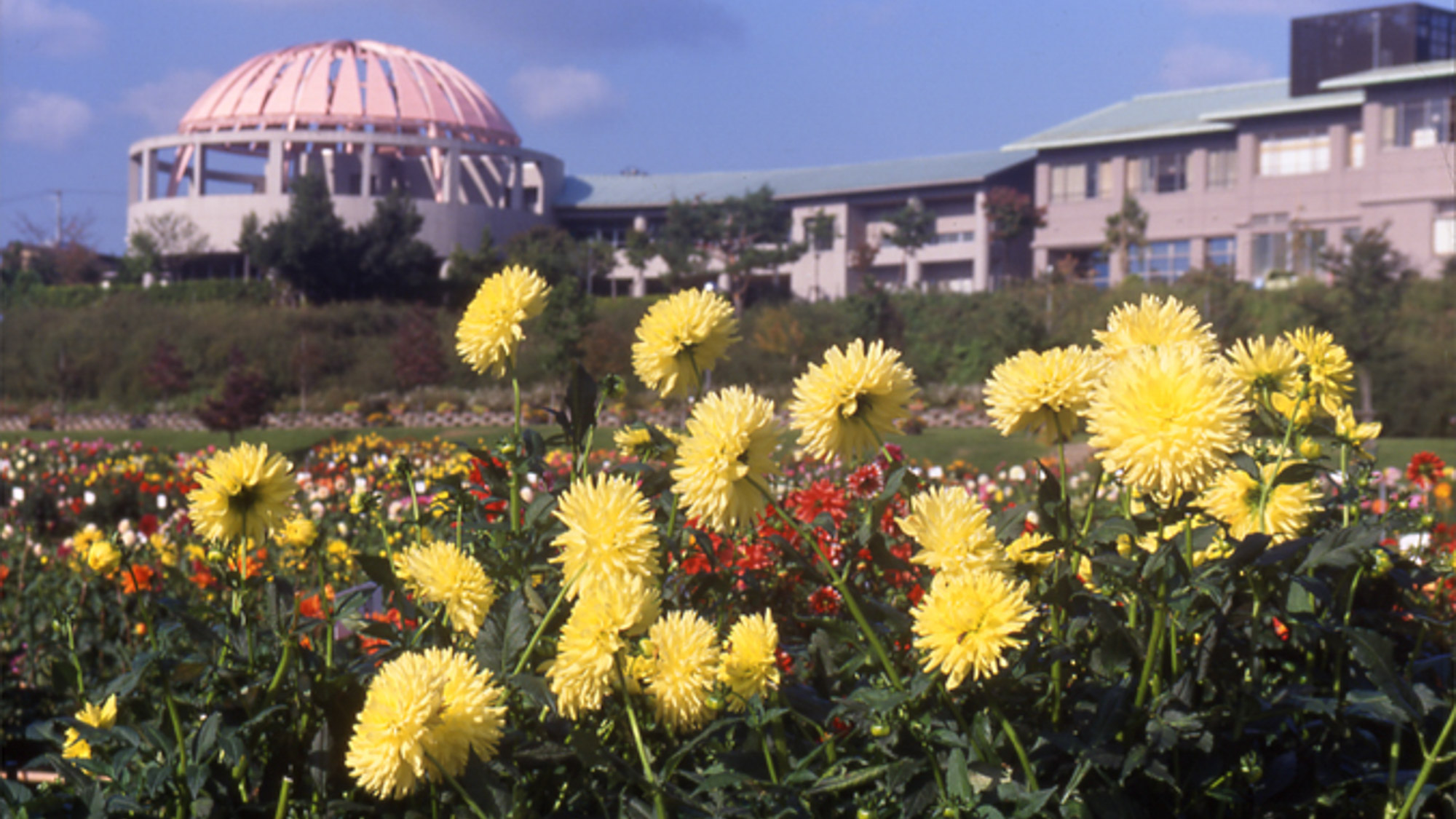 川西温泉 川西町浴浴センターまどか 施設全景