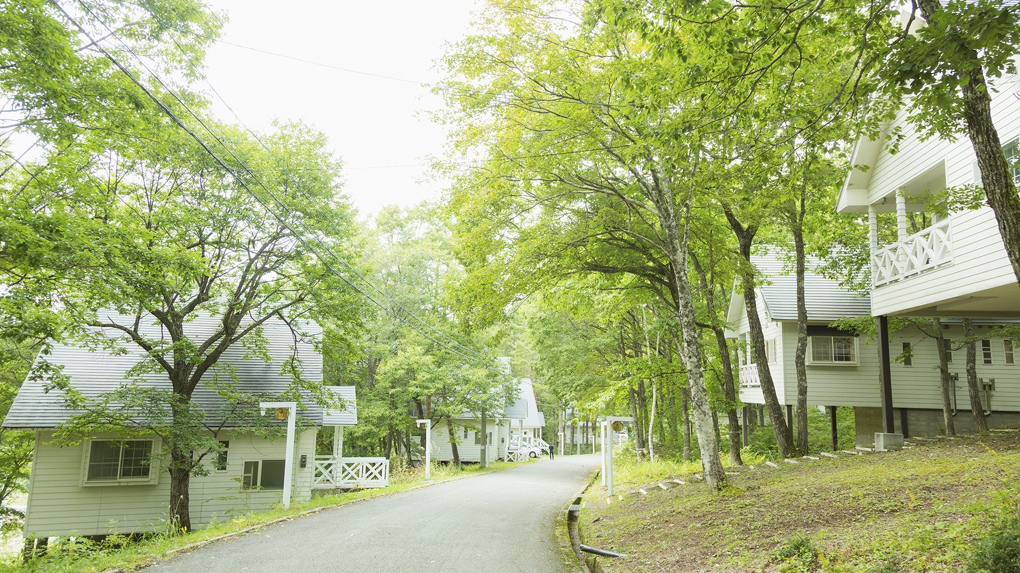 ひるがの高原 牧歌の里 岐阜県 周辺のホテル 宿泊予約 格安予約 宿泊料金比較 検索 トラベルコ