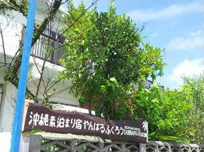施設全景