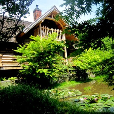 癒しの森 貸別荘 スターヒルズ 施設全景