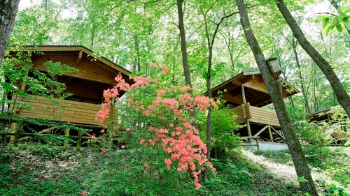 PICA秩父 施設全景