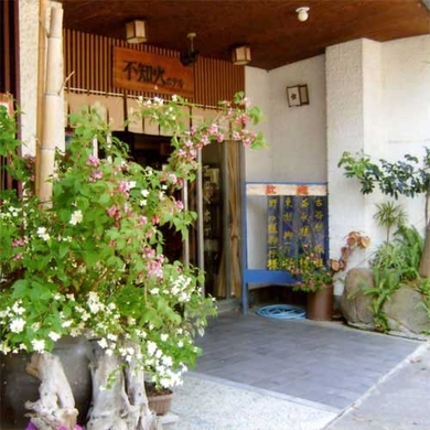 写真:【ペットと泊まれる宿】日奈久温泉 不知火ホテル