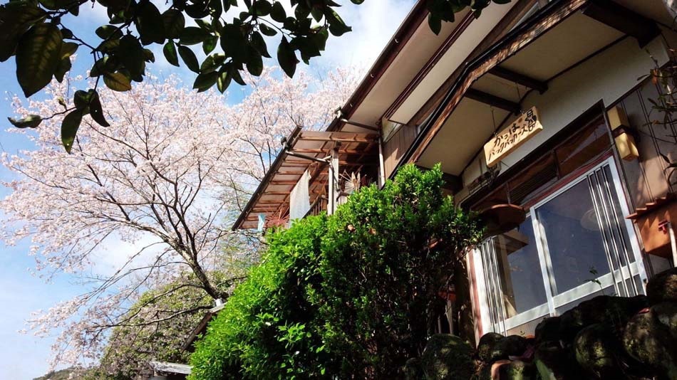 かっぱバックパッカーズ&nbsp;施設全景