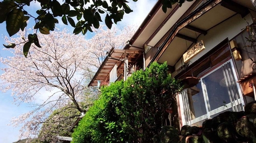 かっぱバックパッカーズ 施設全景