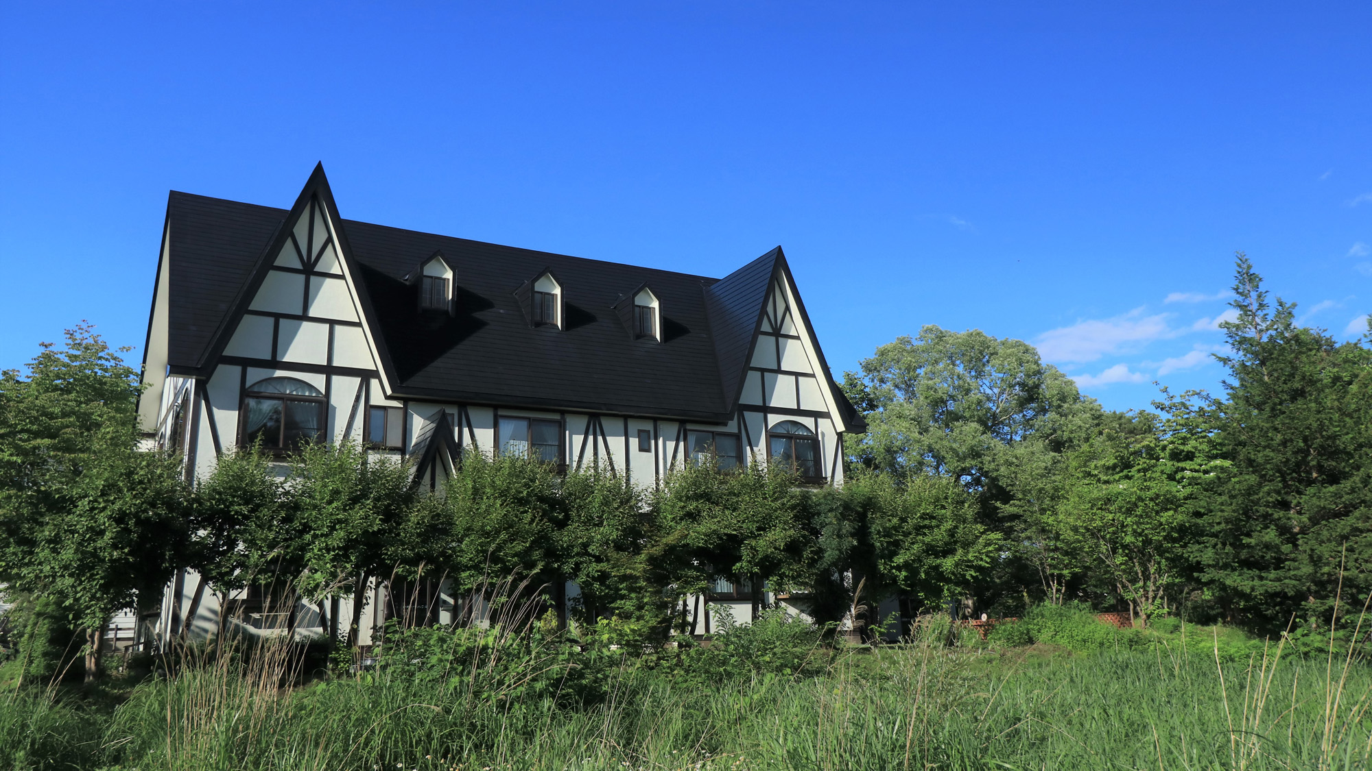 写真:愛犬の宿 虹の詩