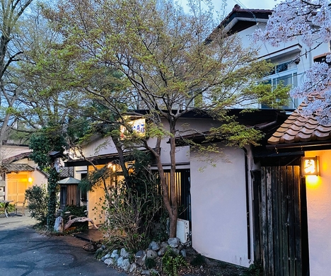 旅館 せせらぎ荘 施設全景