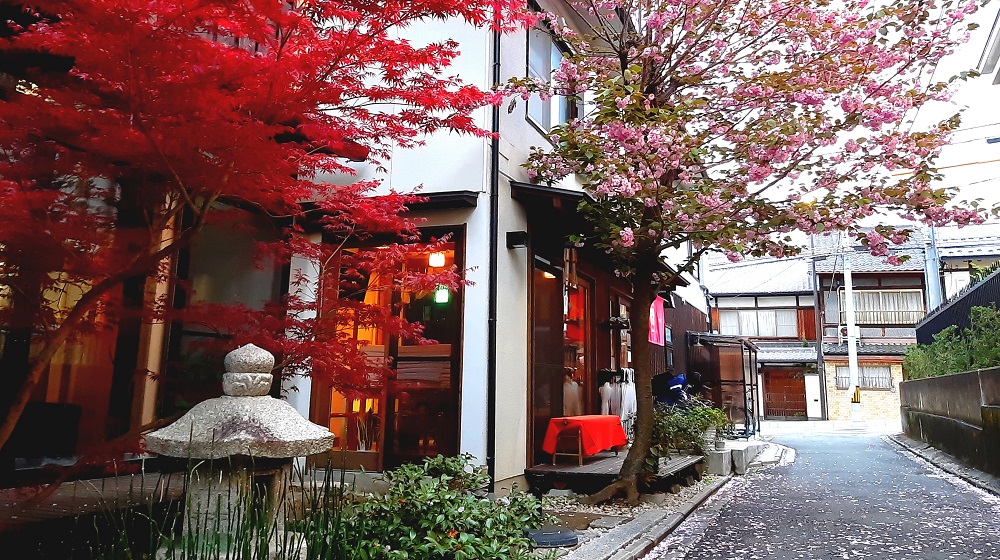 施設全景