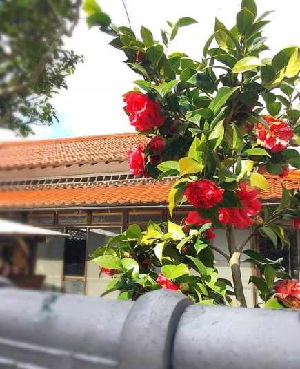 童心の小宿 なみ路 施設全景