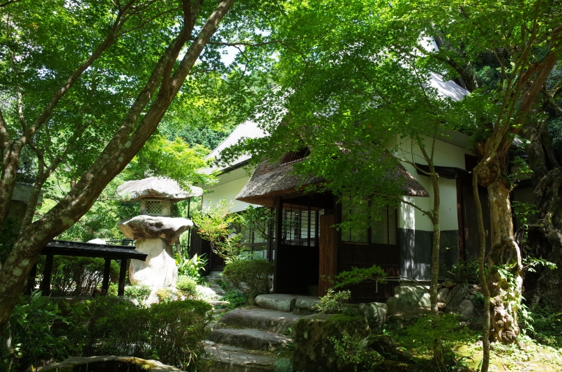 ウッドデザインパーク岡崎 施設全景