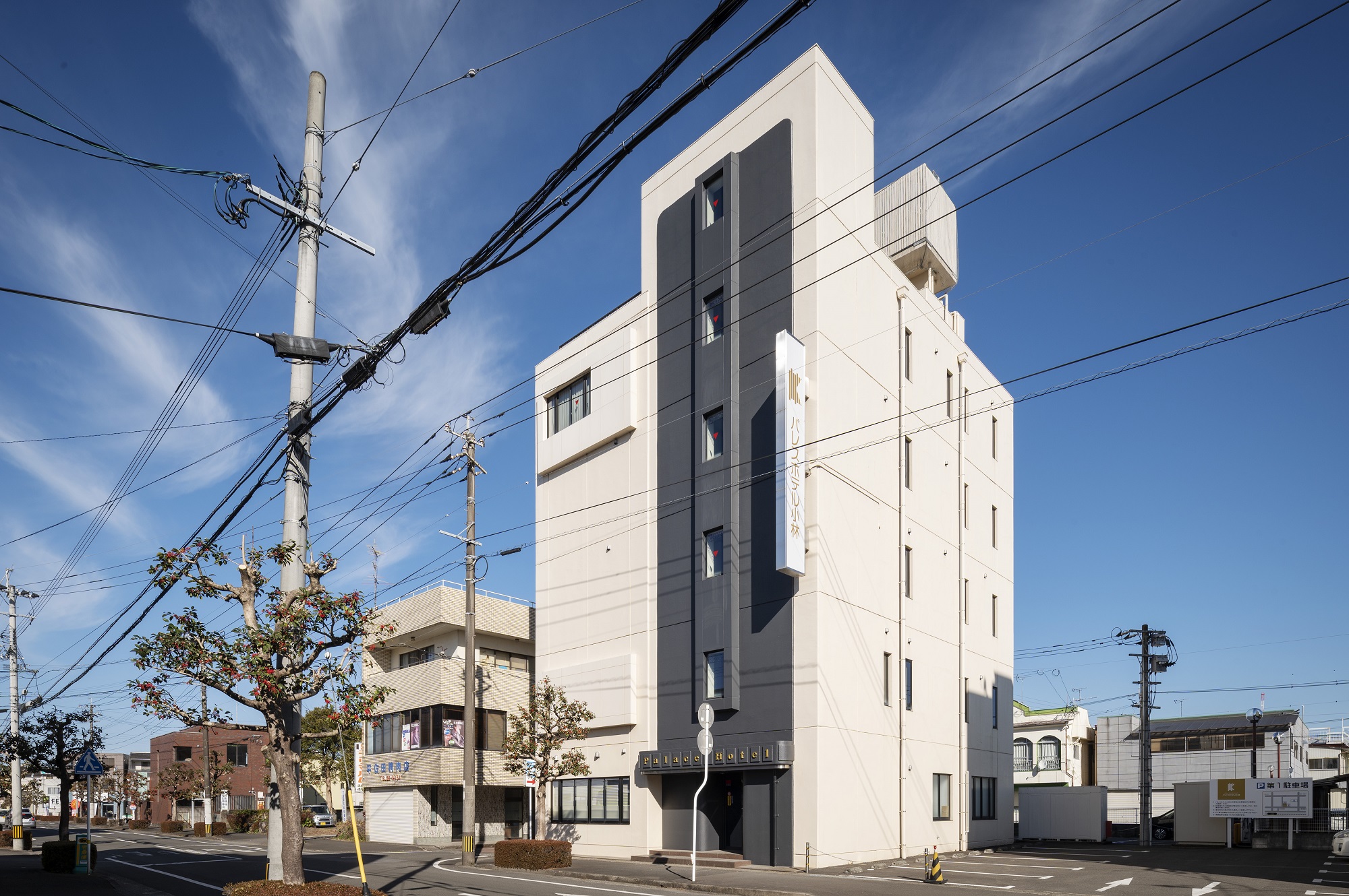 パレスホテル小林 施設全景