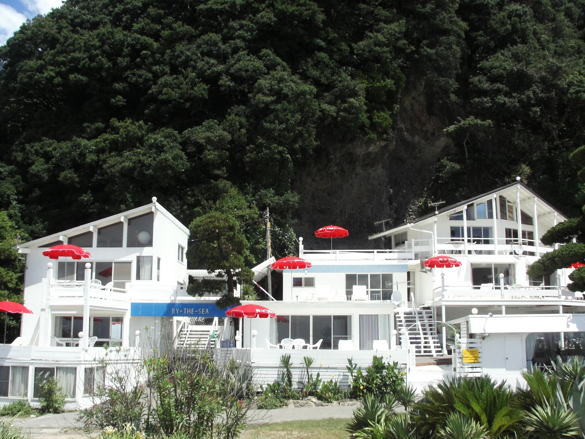 Ｔｈｅ　Ｂｌｕｅ　Ｏｃｅａｎ　Ｄｏｇ　Ｒｅｓｏｒｔ　Ｃｌｕｂ&nbsp;施設全景